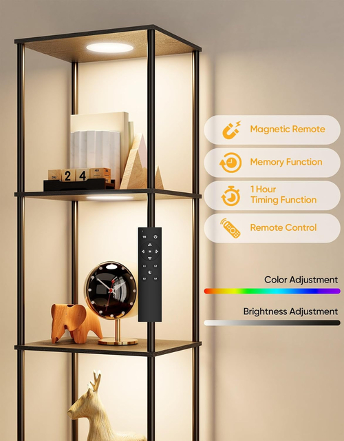 Display Shelf Floor Lamp With RGBW Light And Black Finish