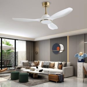 52 Inch Ceiling Fan With DC Motor And Remote Control