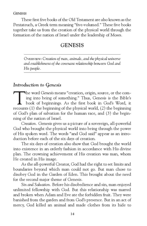 Pocket Bible Handbook - Image 2