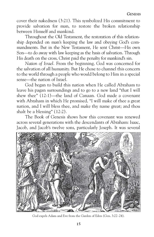 Pocket Bible Handbook - Image 3
