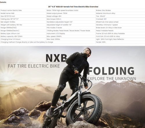 Electric Bike 750W Motor Fat Tire Ebike with Samsung 48V Battery - Image 2