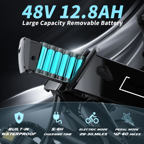 Electric Bike 750W Motor Fat Tire Ebike with Samsung 48V Battery - Image 4