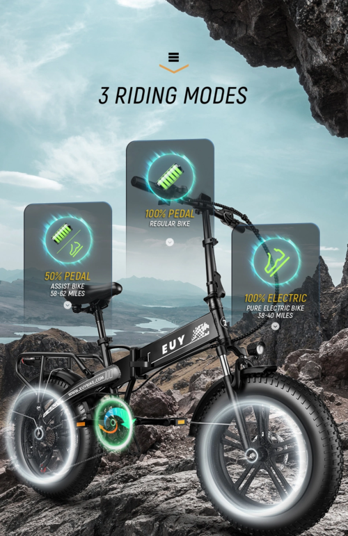 Electric Bike 750W Motor Fat Tire Ebike with Samsung 48V Battery - Image 6