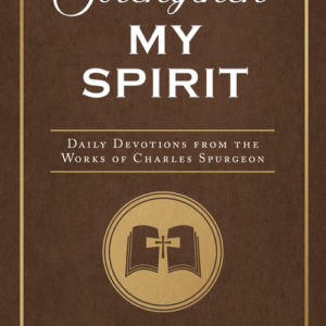 Strengthen My Spirit