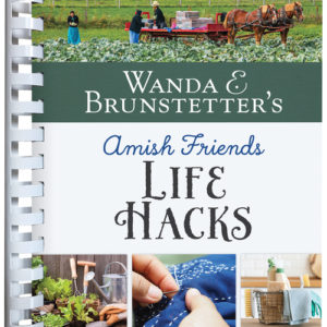 Wanda E. Brunstetter's Amish Friends Life Hacks
