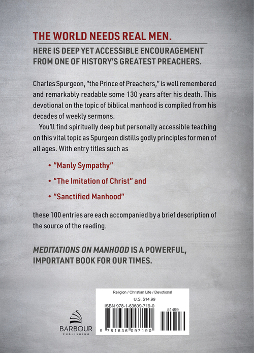 Meditations on Manhood - Image 4