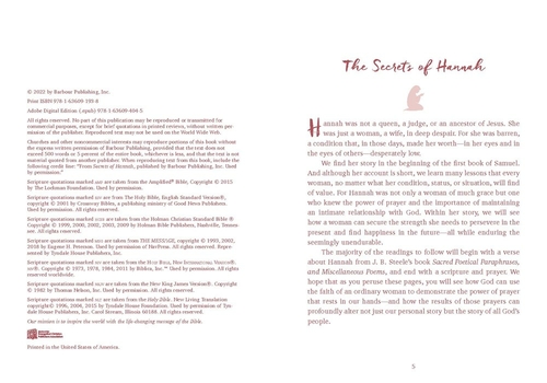 Secrets of Hannah - Image 2