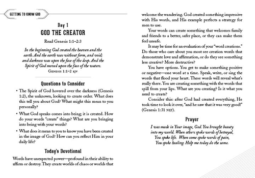 The 90-Day Bible Reading Devotional for Men - Image 2