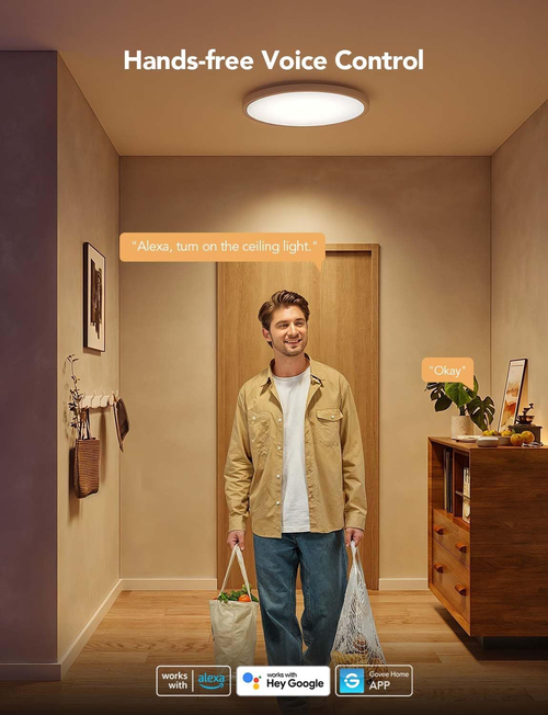 RGBIC Smart Ceiling Light 12 Inch Alexa Compatible - Image 5