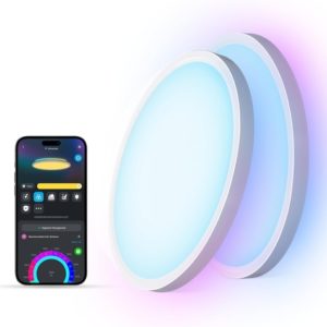 RGBIC Smart Ceiling Light 12 Inch Alexa Compatible